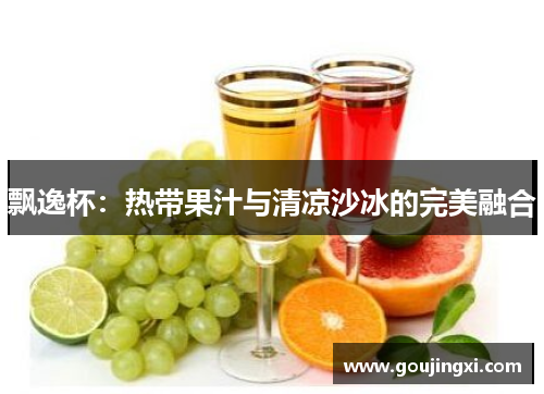 飘逸杯：热带果汁与清凉沙冰的完美融合